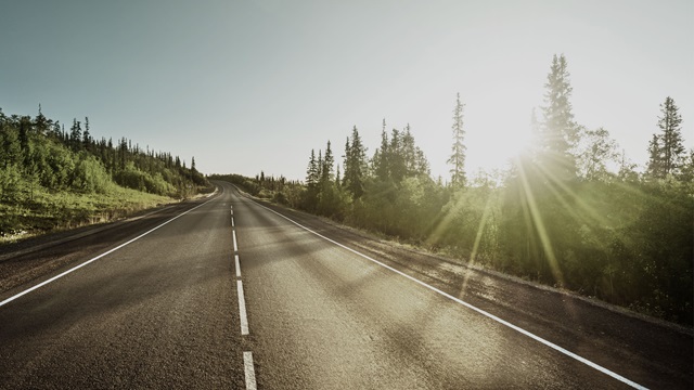 Road lined with trees refers to sustainability.